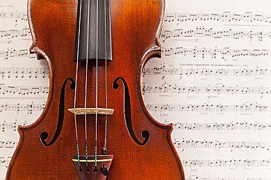 动画《PUI PUI天竺鼠车车 驾校》新PV公开 10月开播